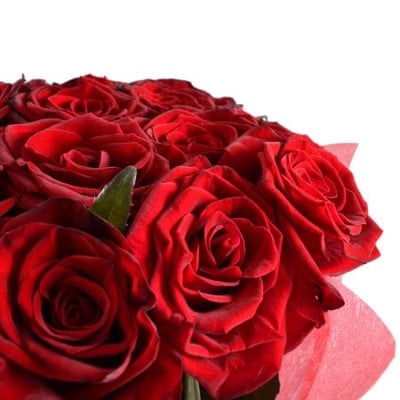 Букет 25 красных роз Галена