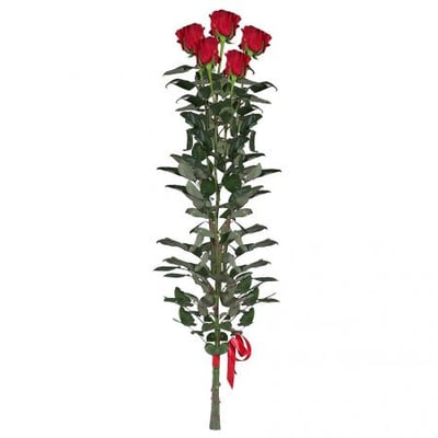 5 Red roses (1m) Kiev