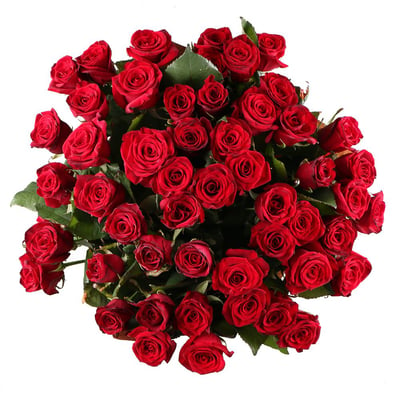 Букет 51 бордовая роза Луганск