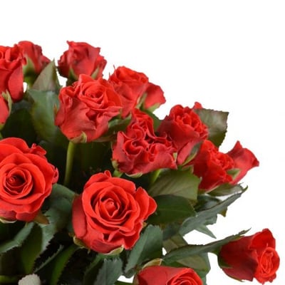 45 red roses Simferopol