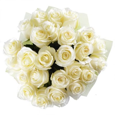 Белый шелк 25 роз signature Дэриен