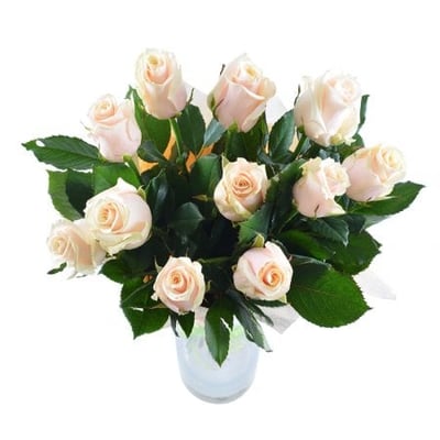Августин 11 кремовых роз Кингстон (Великобритания)