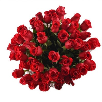 51 premium roses Simferopol