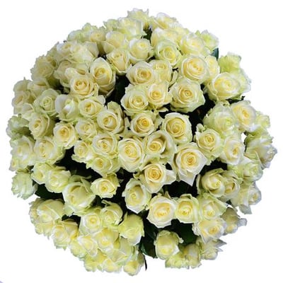 101 белая роза Караганда