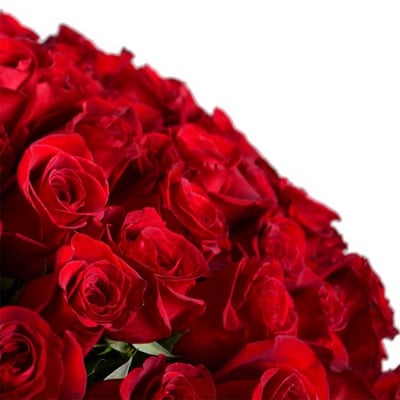 Огромный букет роз 301 роза Крым