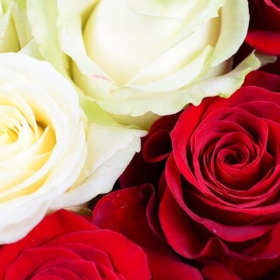Сердце с розами Самара