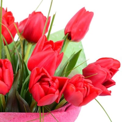 Red tulips Kiev