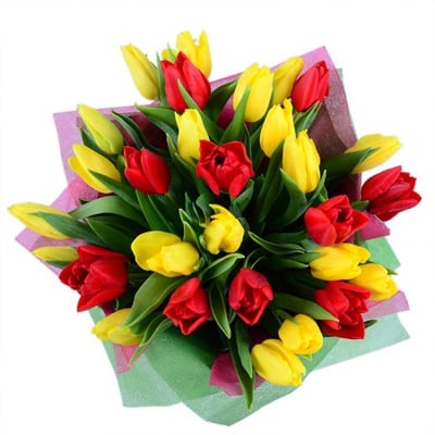 Червоні та жовті тюльпани Київ