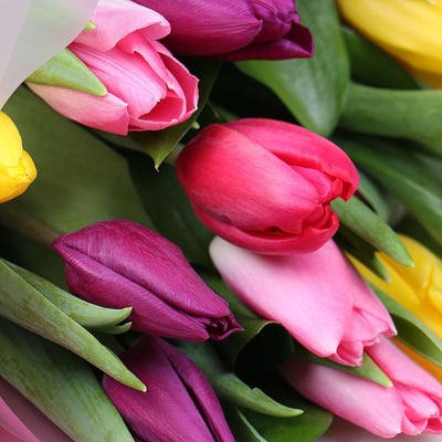 Весенний привет 11 тюльпанов Мариуполь