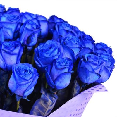 51 blue roses Kiev