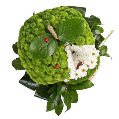 Игрушка из цветов - Зеленое яблоко Киев
