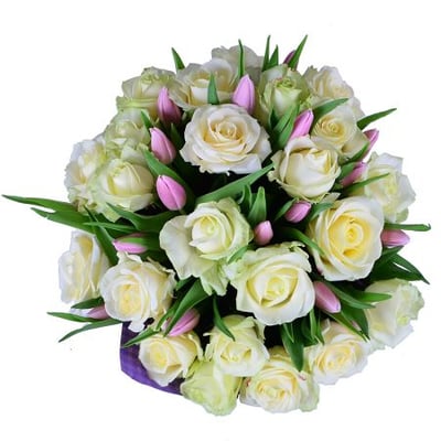 Белые розы и тюльпаны Ивано-Франковск