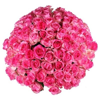 101 розовая роза Груш-Люшуель