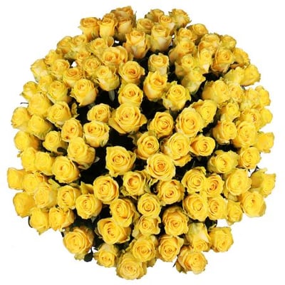 111 желтых роз Виктория (Канада)