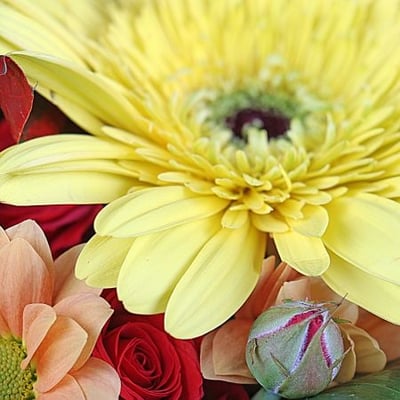 Яркий микс из 15 цветков Киев