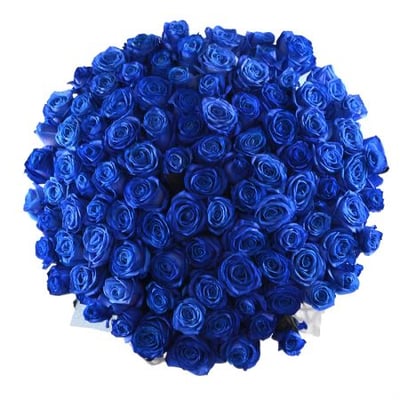 101 синяя роза Абовян