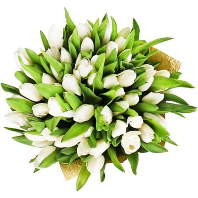 Белые тюльпаны (51 шт) Пермь