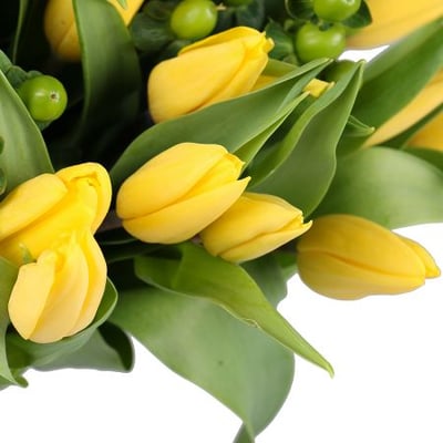 Желтые тюльпаны 51 шт Новосибирск