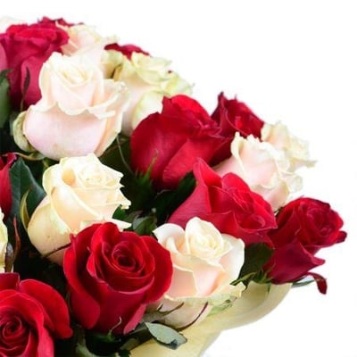 Красно-кремовые розы (51 шт.) Омск