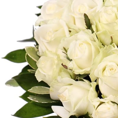 Белые розы Воздушный крем Днепр