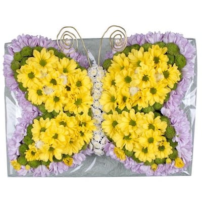 Золотистая цветочная бабочка Киев