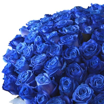 Поштучно синие розы Украина
