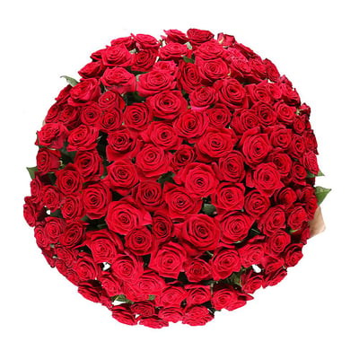 101 роза + Конфеты Ferrero Rocher Ломоносов