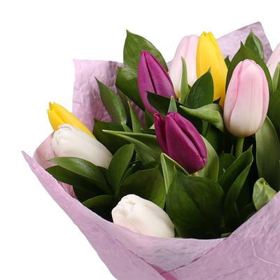 15 разноцветных тюльпанов Николаев