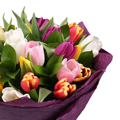 25 multi colored tulips Kiev