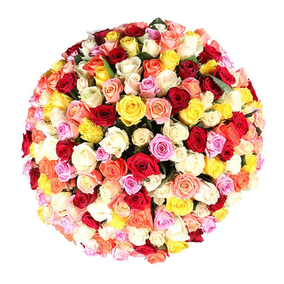 175 разноцветных роз Алматы