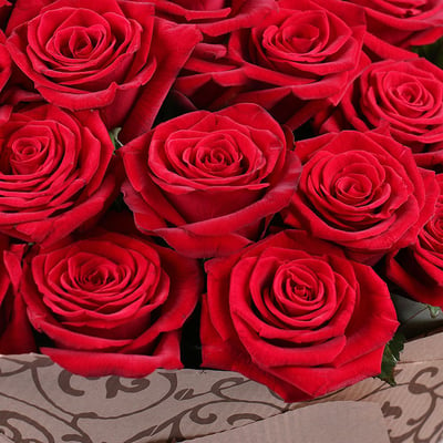 101 red roses Gran Prix Kiev