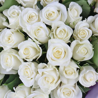 51 white roses Kiev