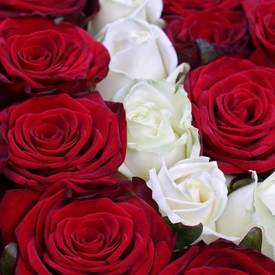 Троянди в коробці  'З любов'ю' Дніпро