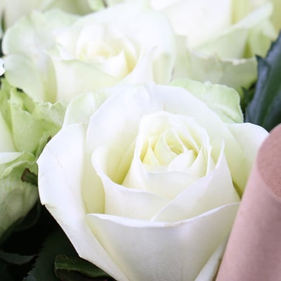 9 белых роз Беломбре