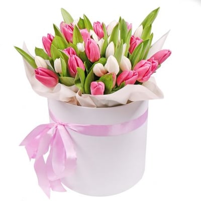 Белые и розовые тюльпаны в коробке 35шт Киев