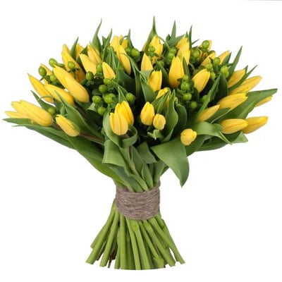 Желтые тюльпаны 51 шт Николаев
