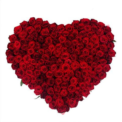 Сердце из роз (145 роз) Лавр