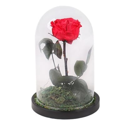 Стабилизированная красная роза в колбе Грюнкраут