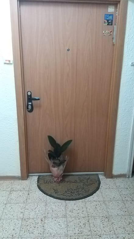 Доставка цветов Хайфа