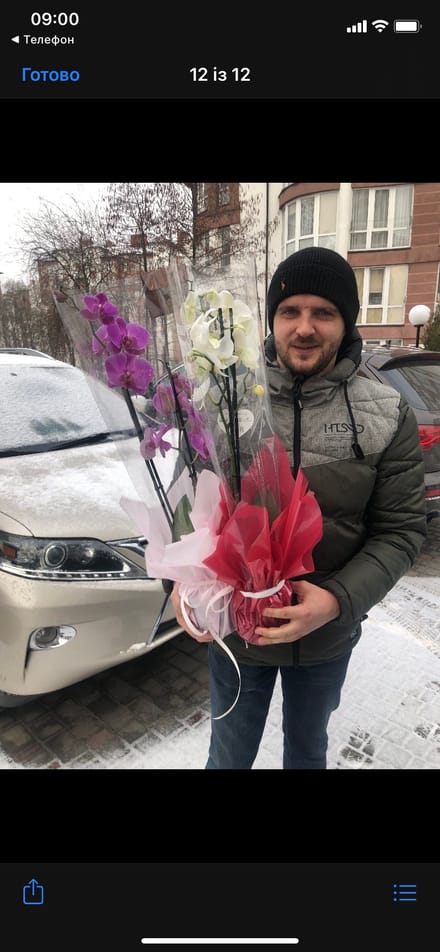 Flowers delivery Verhovina