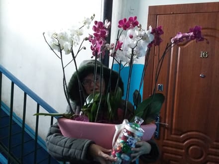 Flowers delivery Priluki
