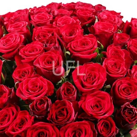 1000 роз - 1001 красная роза Киев