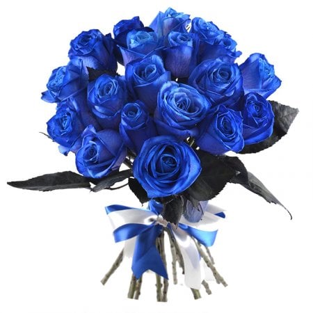 Meta - Синие розы Хинтербрюль