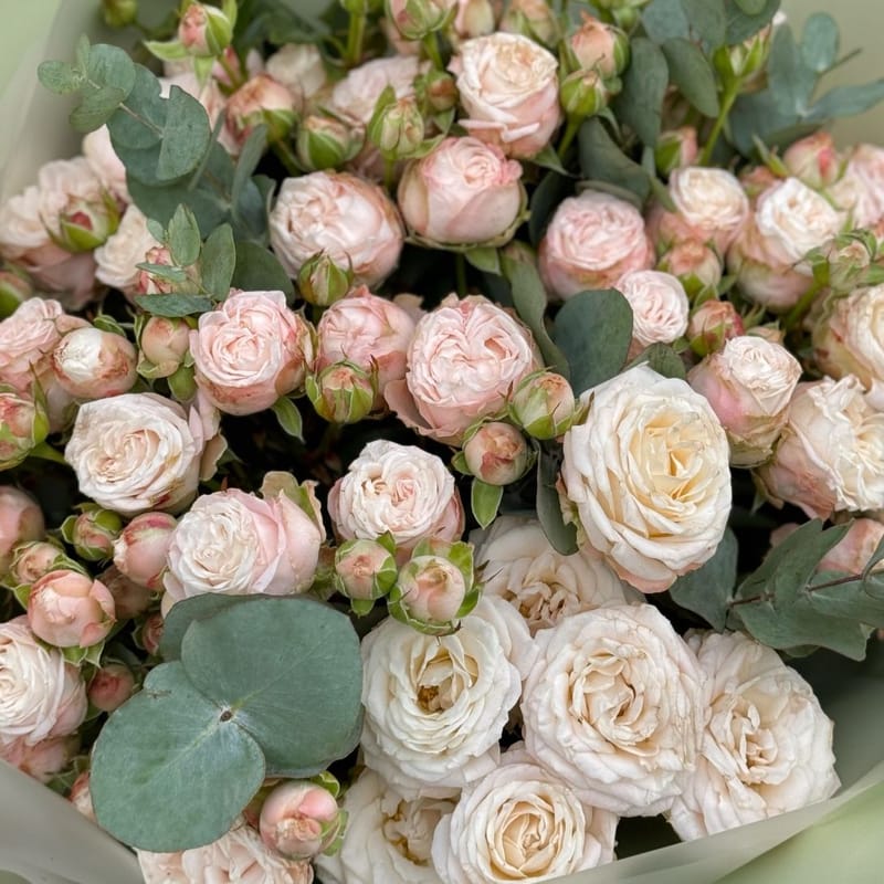 Bouquet of creamy spray roses 158 $
