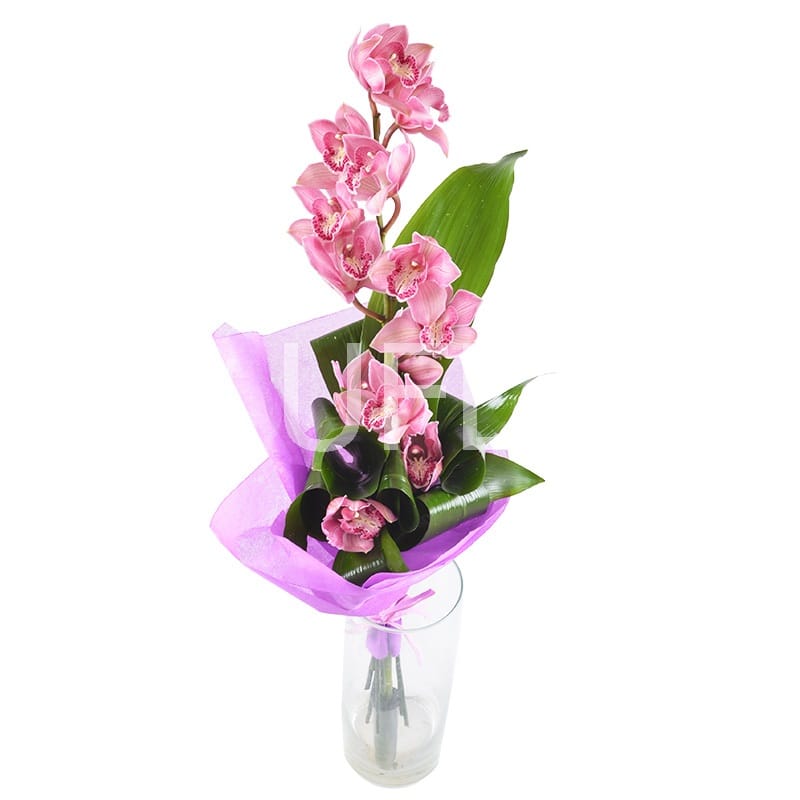 Orchid bouquet 209 €