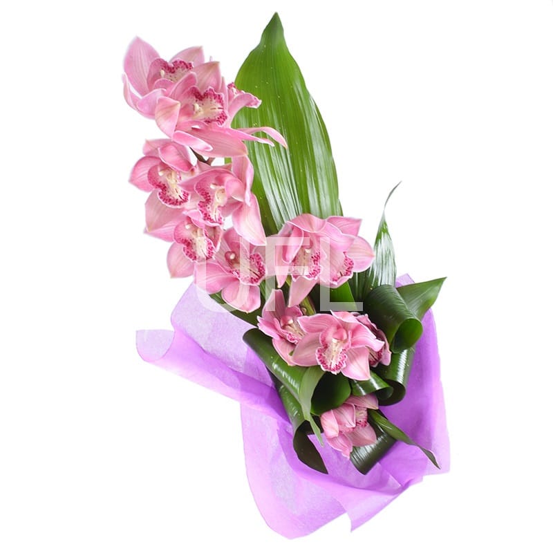 Orchid bouquet 209 €