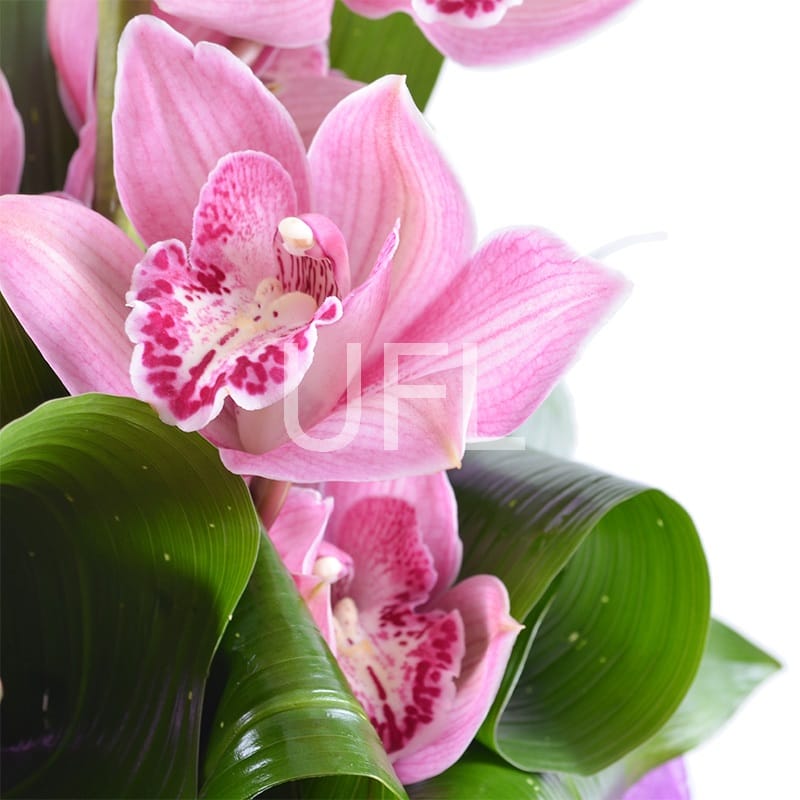 Orchid bouquet 209 €
