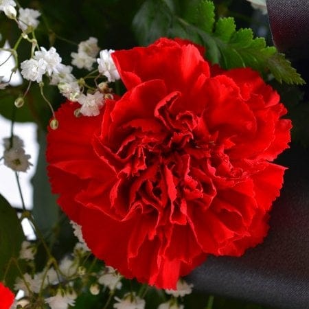 Ритуальна композиція з живих квітів № 2 18760 грн
