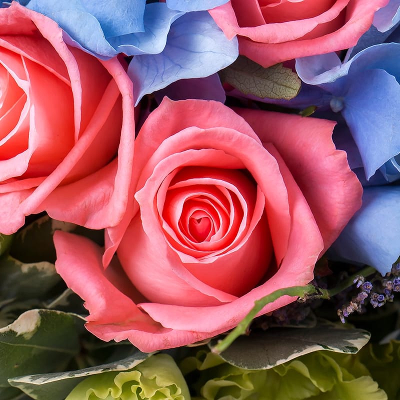 Flower arrangement in a box 554 $