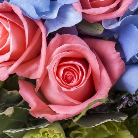 Flower arrangement in a box 554 $
